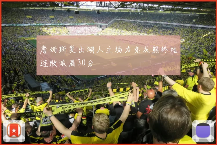 詹姆斯复出湖人主场力克灰熊终结连败浓眉30分