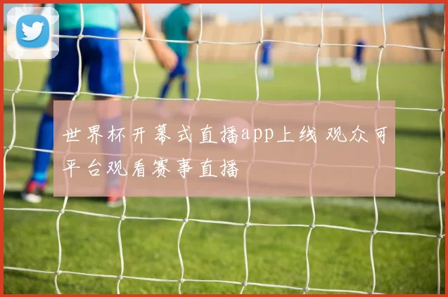 世界杯开幕式直播app上线 观众可平台观看赛事直播