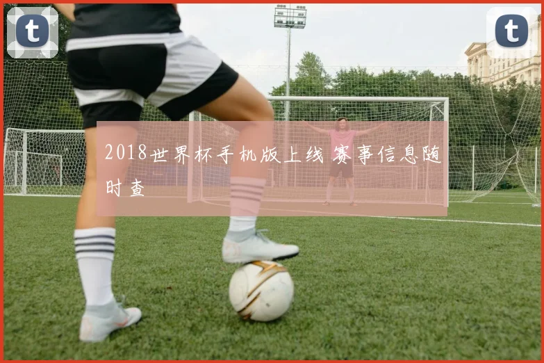 2018世界杯手机版上线 赛事信息随时查