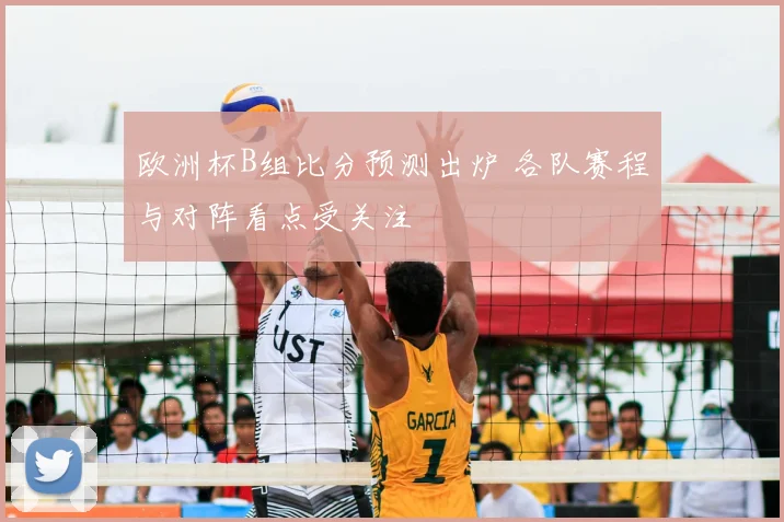 欧洲杯B组比分预测出炉 各队赛程与对阵看点受关注