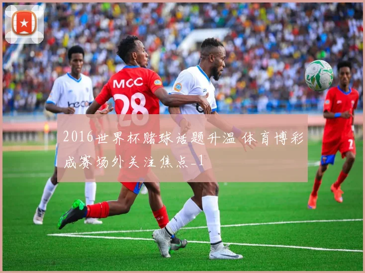 2016世界杯赌球话题升温 体育博彩成赛场外关注焦点_1